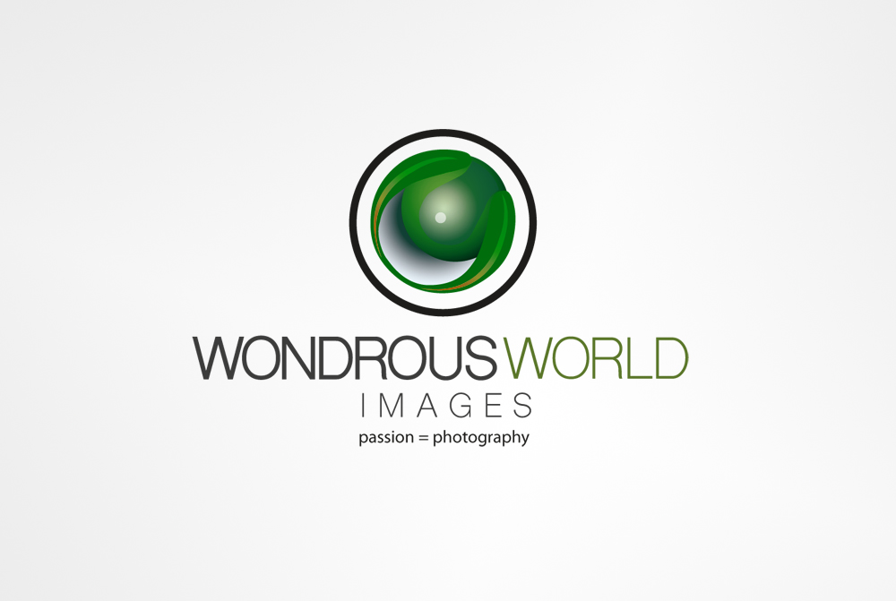 Logo Design by CanDoDesign for this project | Design #5501676