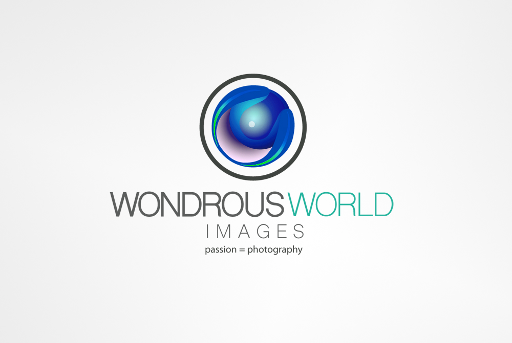 Logo Design by CanDoDesign for this project | Design #5501681