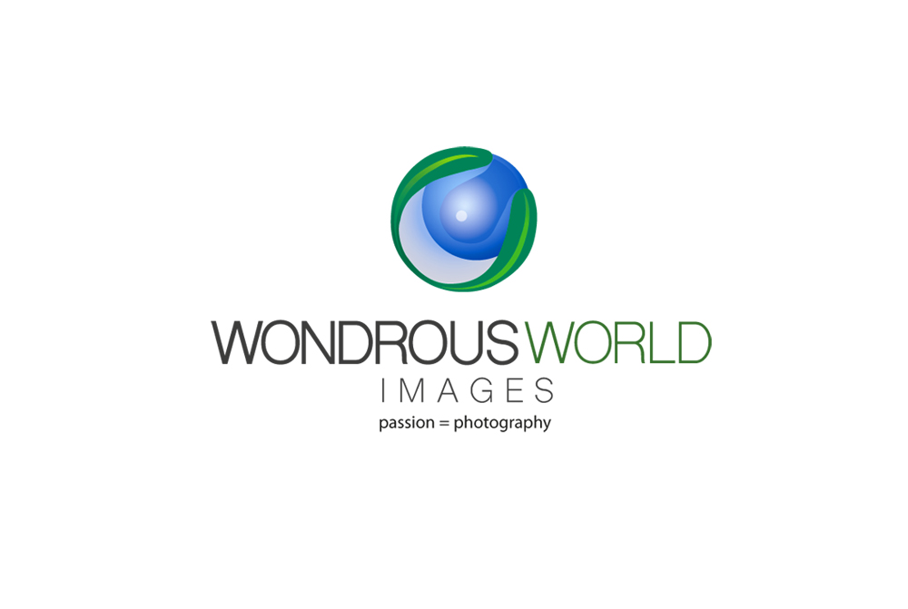 Logo Design by CanDoDesign for this project | Design #5501731