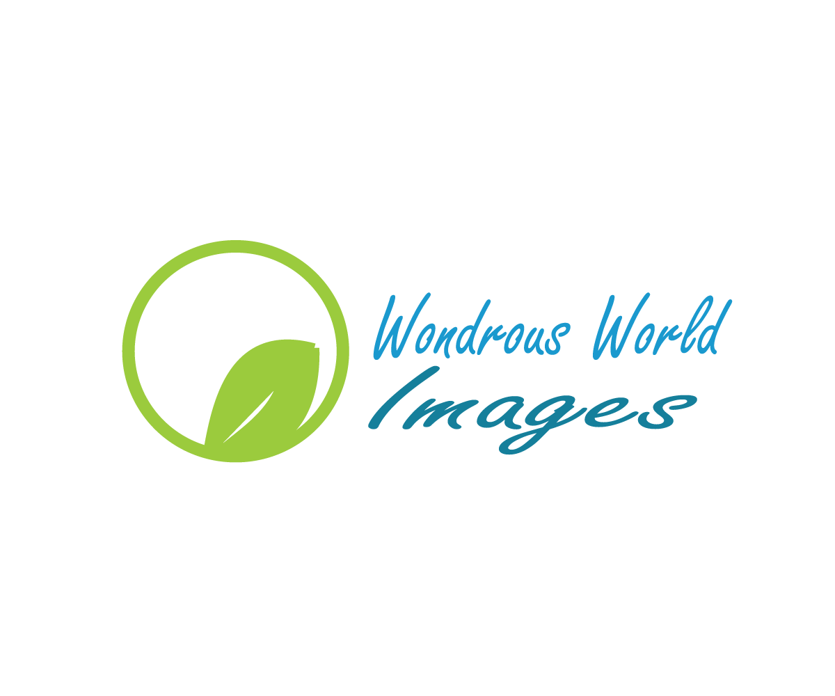 Logo-Design von BC Designs für dieses Projekt | Design #5499948