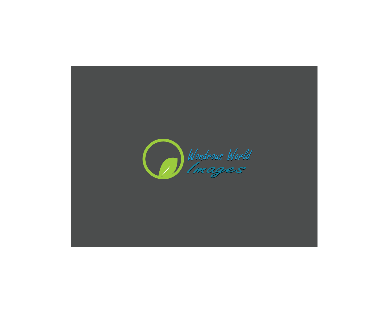 Logo Design by BC Designs for this project | Design #5499968