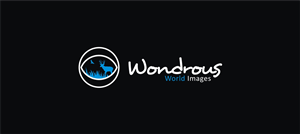 Diseño de Logo por logoworld para este proyecto | Diseño: #5519496