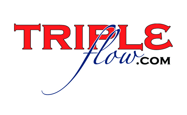 Diseño de Logo por Dchapman para este proyecto | Diseño #283706