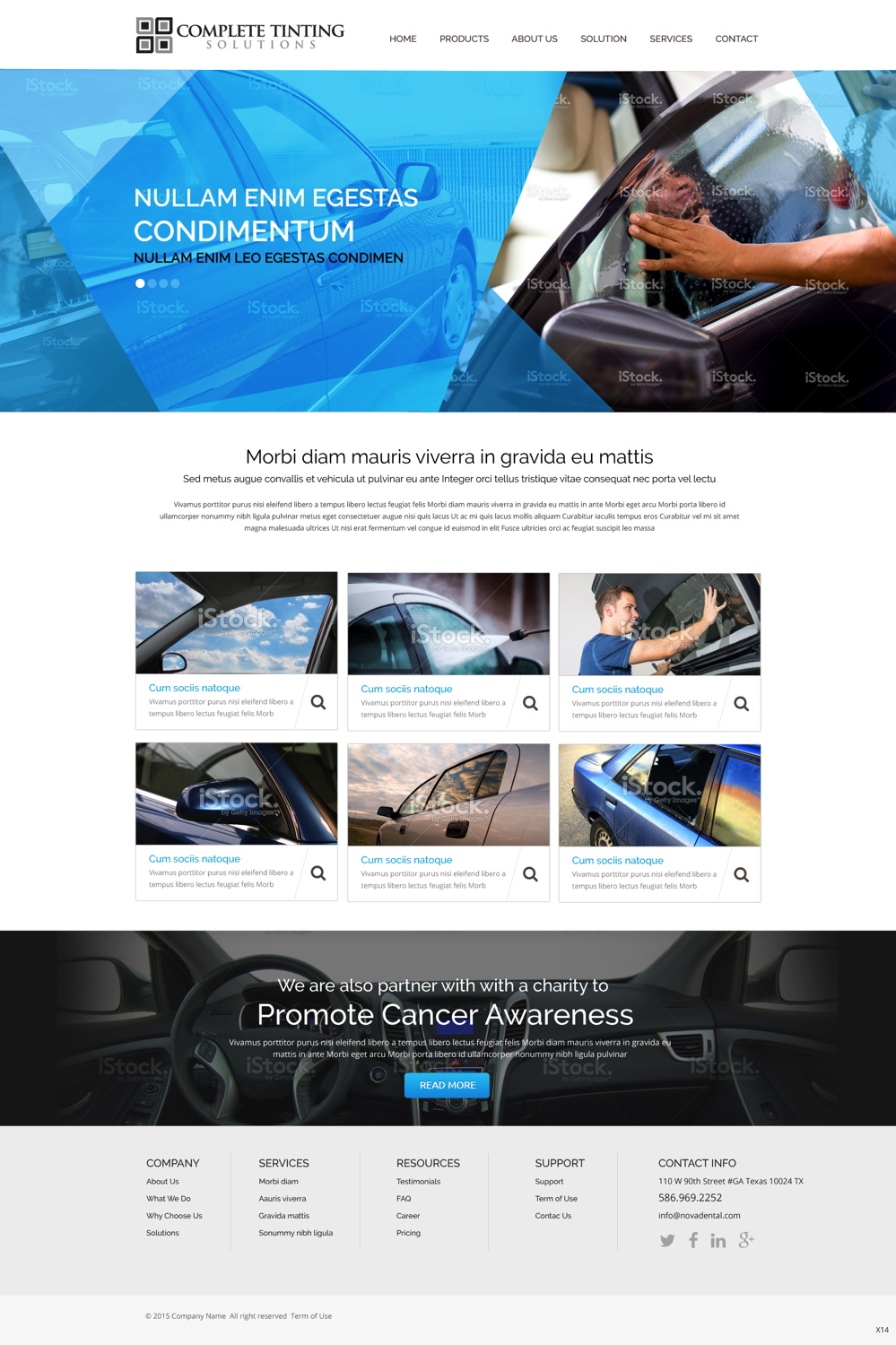 Web Design by pb for Complete Tinting Solutions | Design #5521813