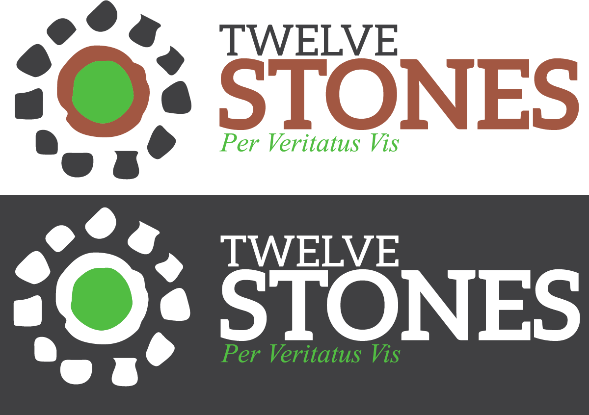 Logo-Design von theK für dieses Projekt | Design #5551194