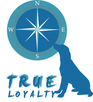 Logo Design by ruben