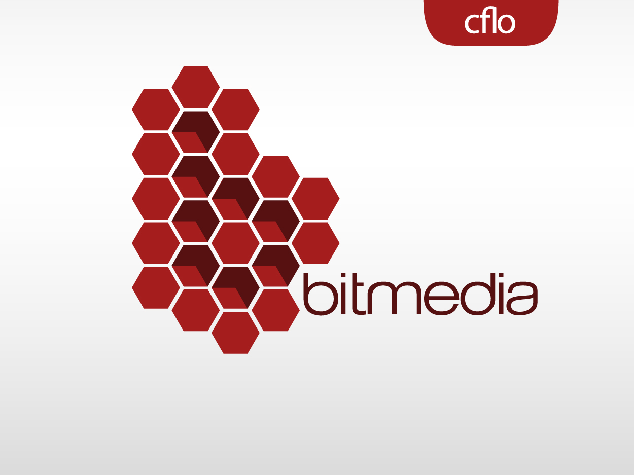 Logo Design by Cflo for Bradley IT | Design #300354