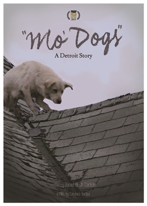 Poster Design by PND