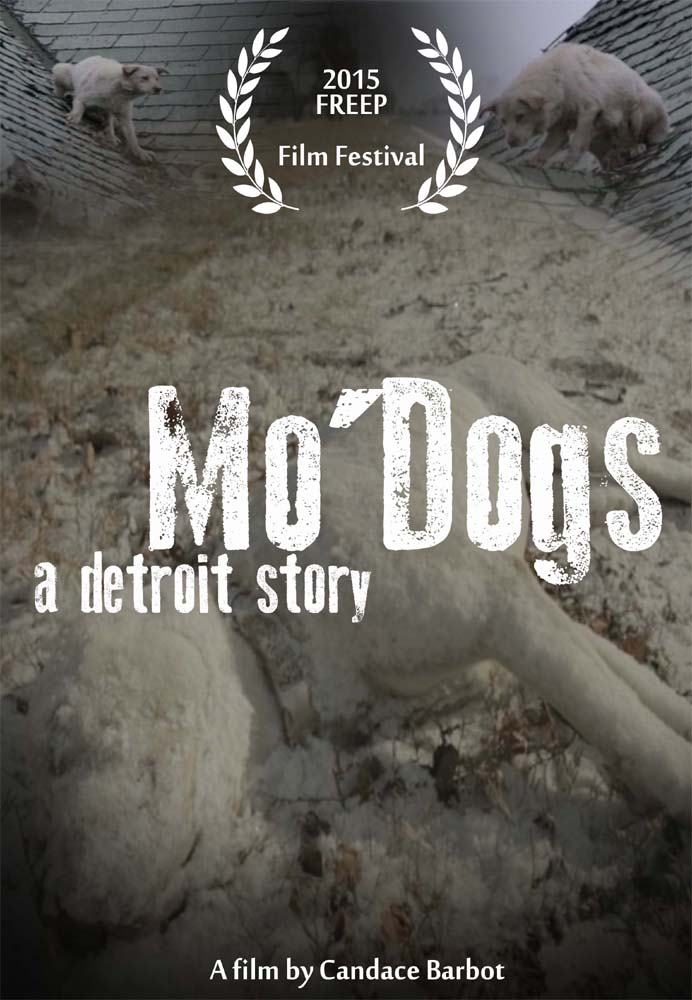Poster Design by Matthew Fawcett for this project | Design #5568251