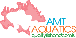 Logo Design by artguy1062 for AMT Aquatics | Design #5548979