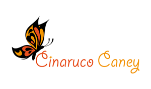 Logo Design by Juan Marte