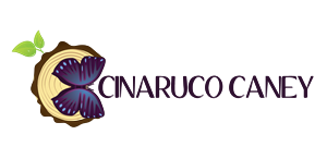 Logo Design by MKG