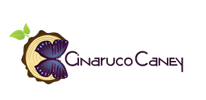 Logo Design by MKG for this project | Design: #5860282