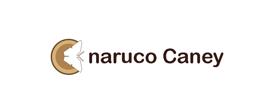 Logo-Design von SCC für dieses Projekt | Design #5842039