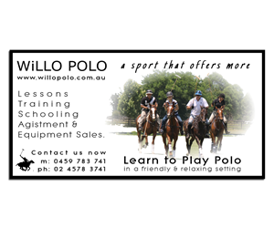 Learn to play polo (that's on horses) business, requires a roadside sign.