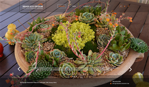Design Image