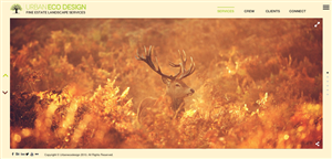 Diseño Web por cmyk.crowd para este proyecto | Diseño: #5521155