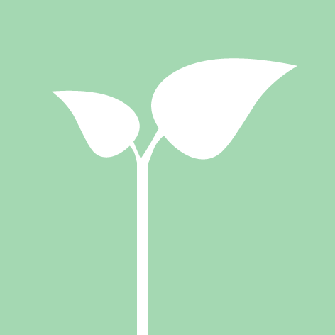 Minty Design's profile picture