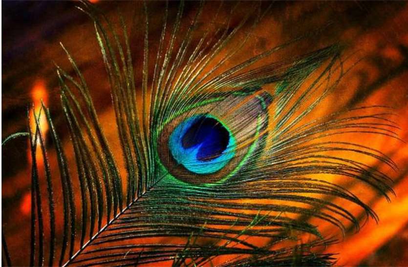 Krishnayashodev's profile picture