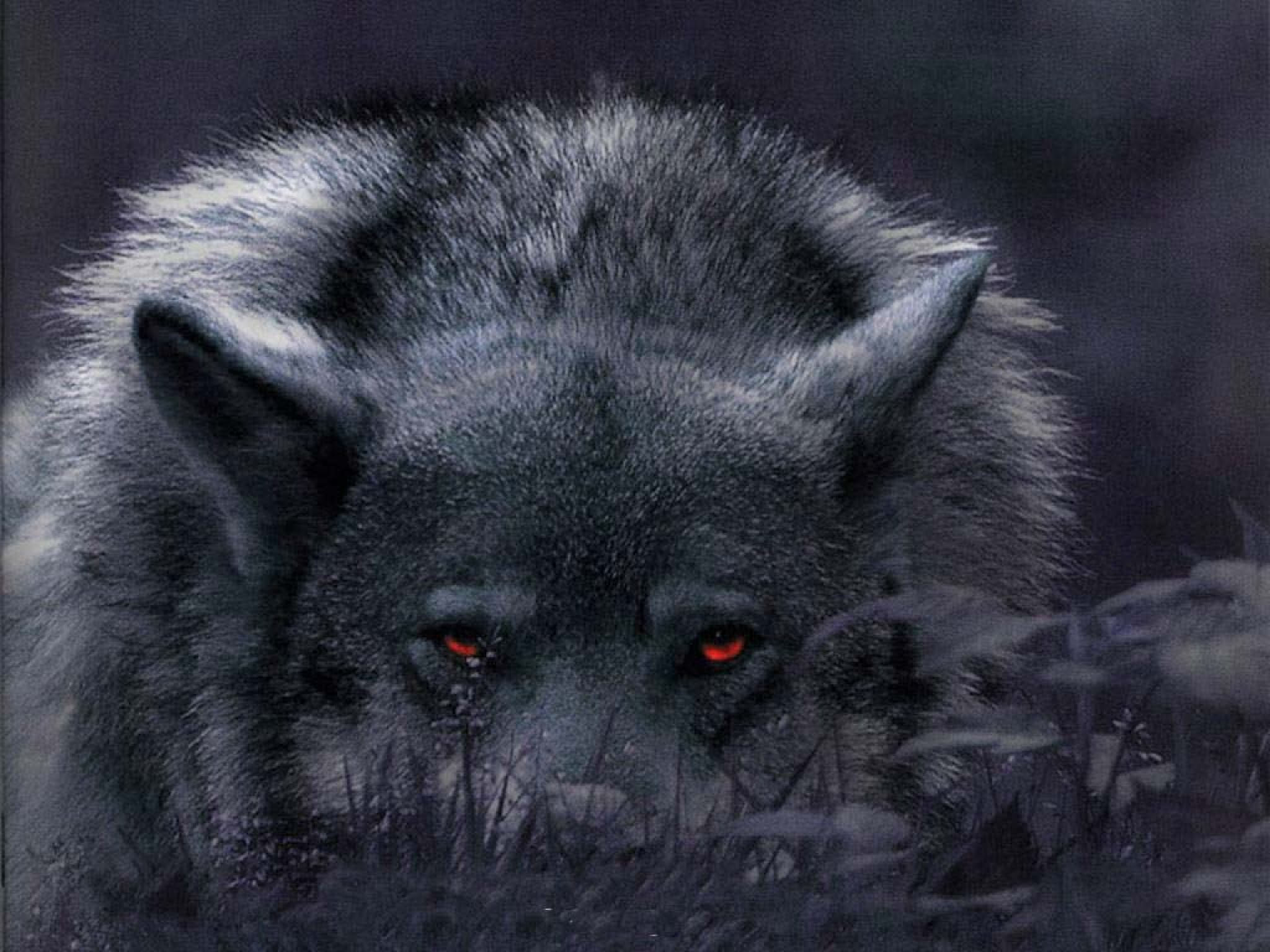 FabyLeon's profile picture