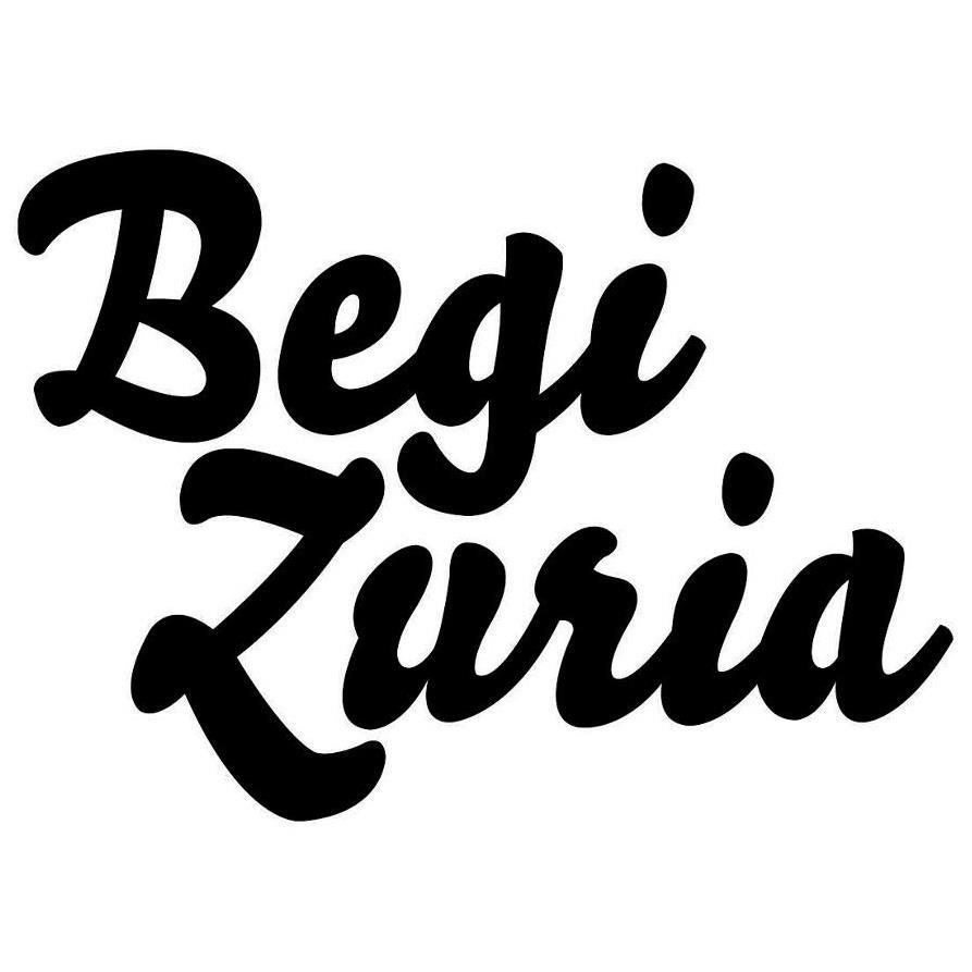 begizuria's profile picture