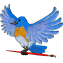bluebirddesign