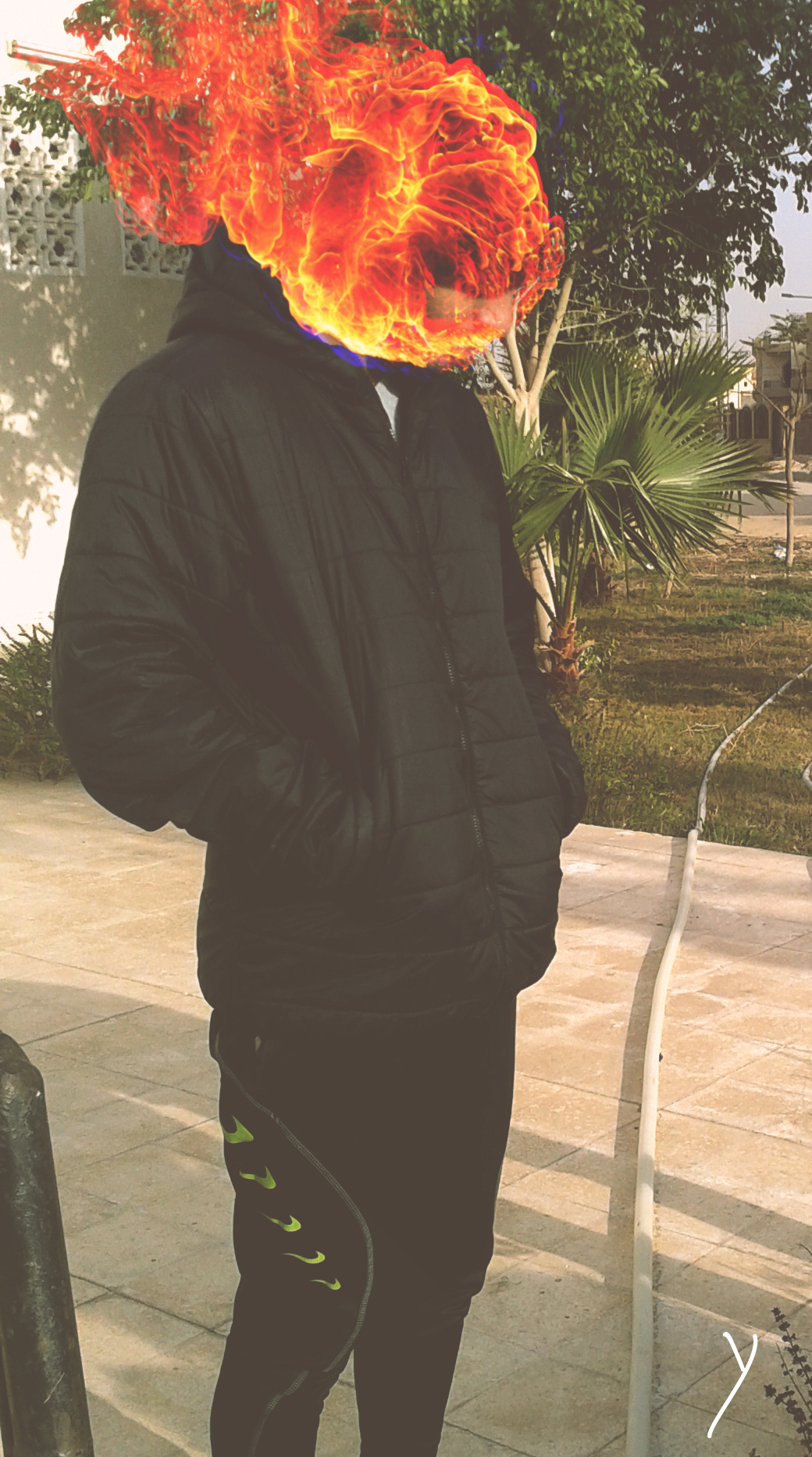 yossef gamal's profile picture