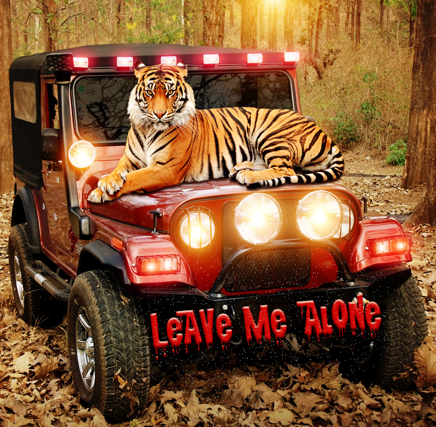 khurmidheeraj31's profile picture