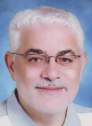 Hamdi Kandil's profile picture