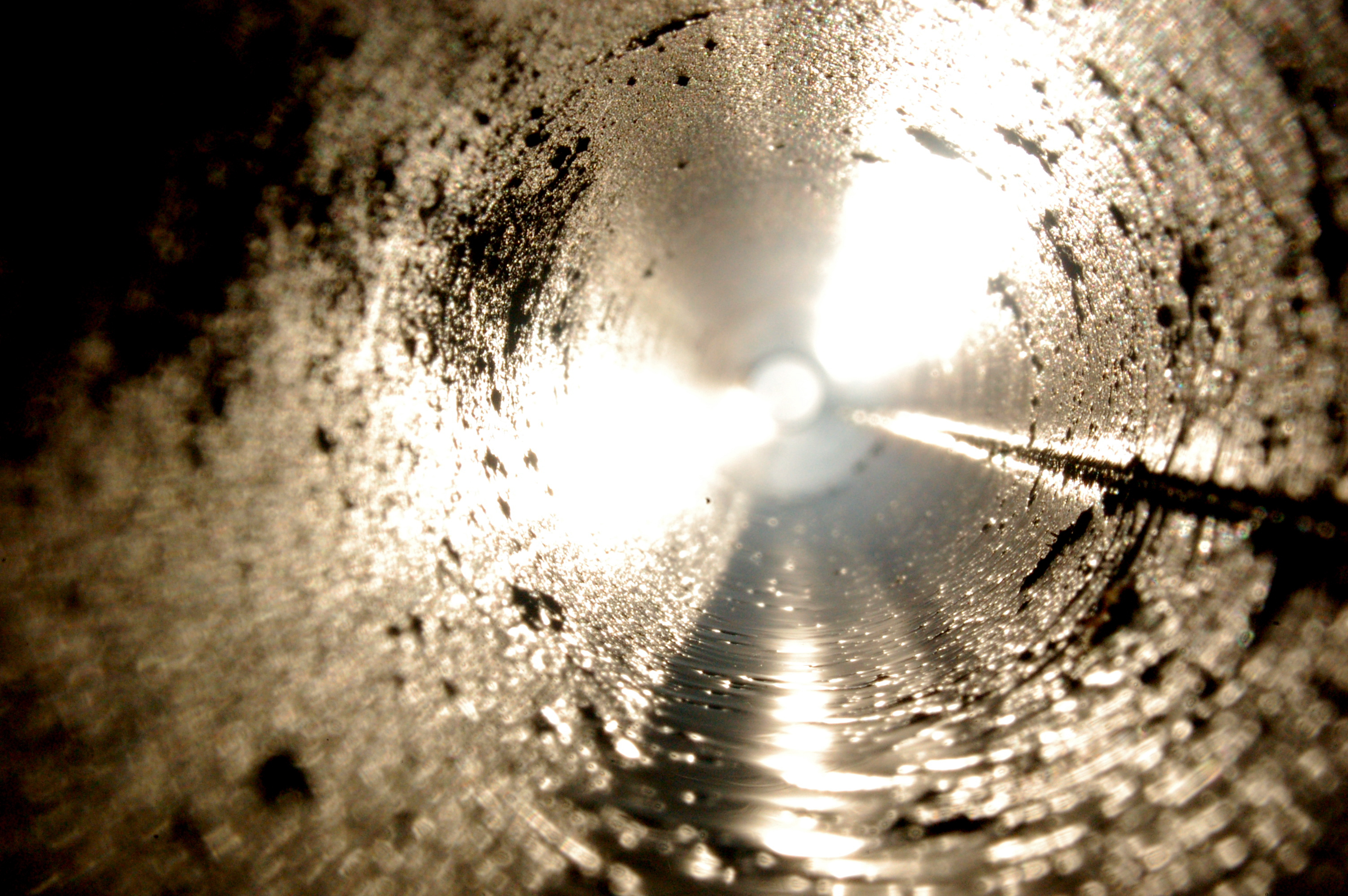 Nicomyth's profile picture