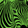 Z_AsInZebra