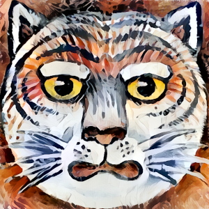 lucsquame's profile picture