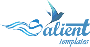 salient design's profile picture