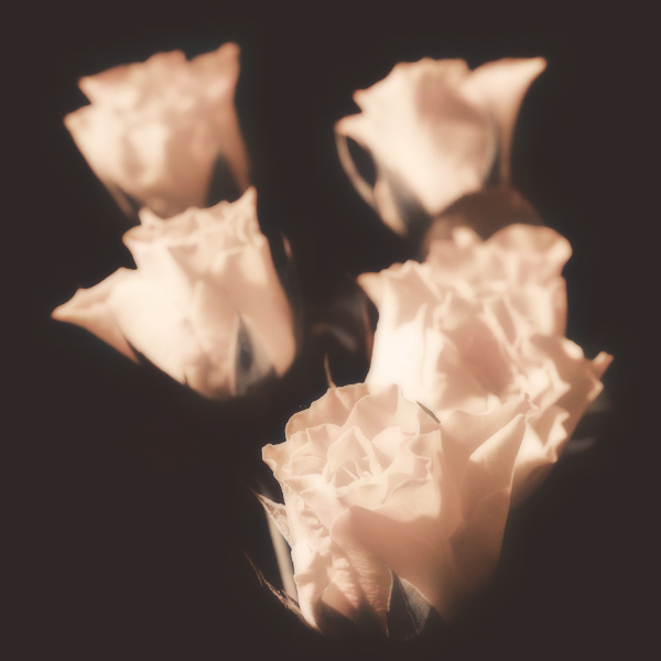 LeahMarriott's profile picture