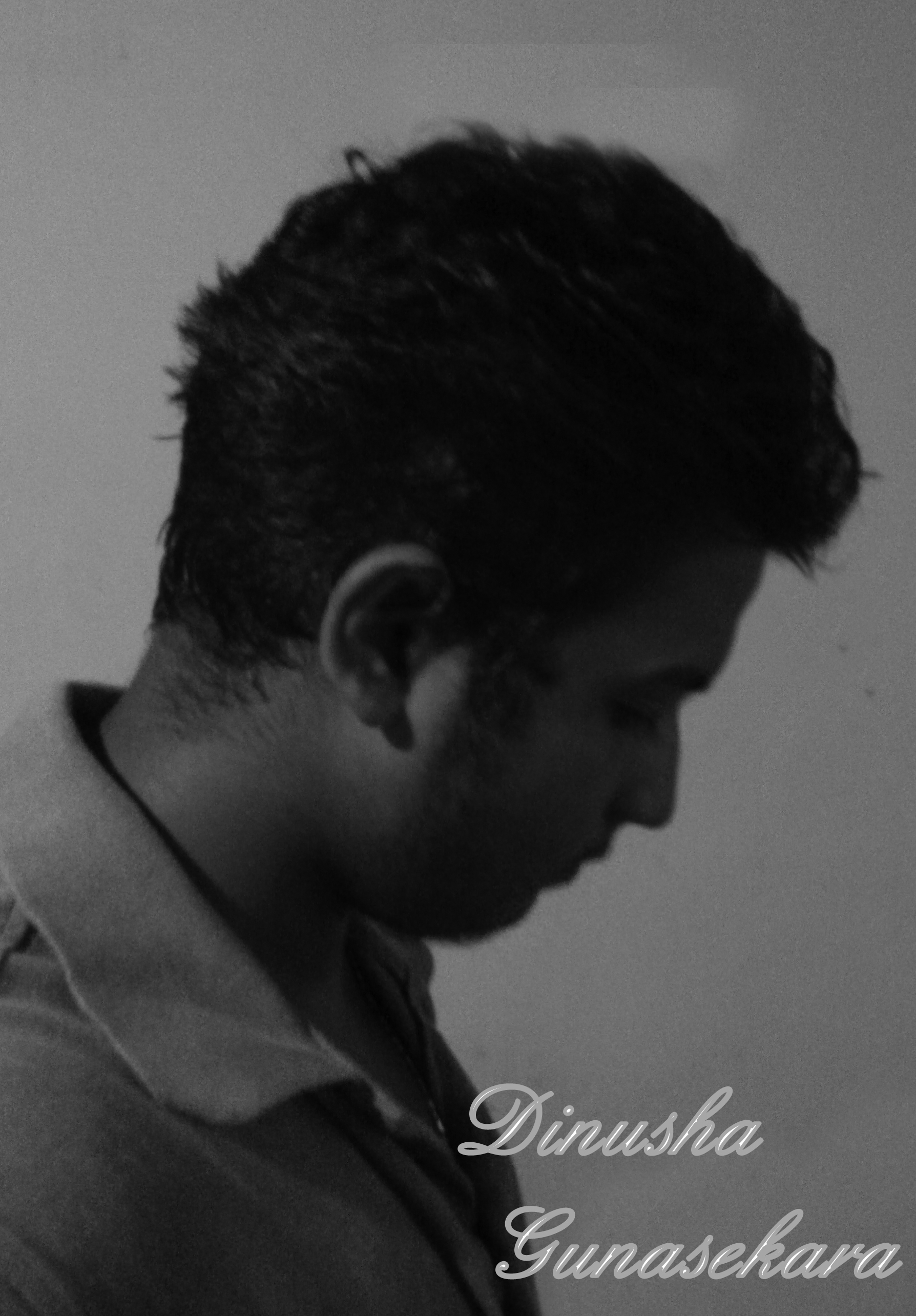 dinusha_arts's profile picture