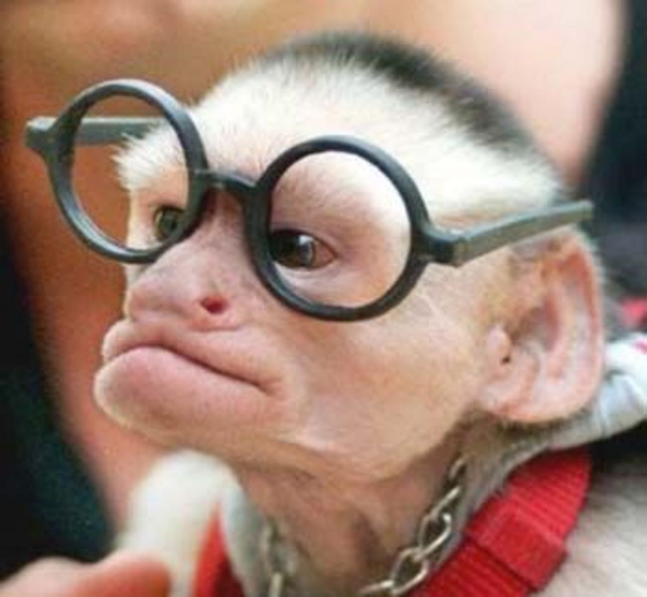 SpaceMonkey's profile picture
