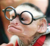 SpaceMonkey