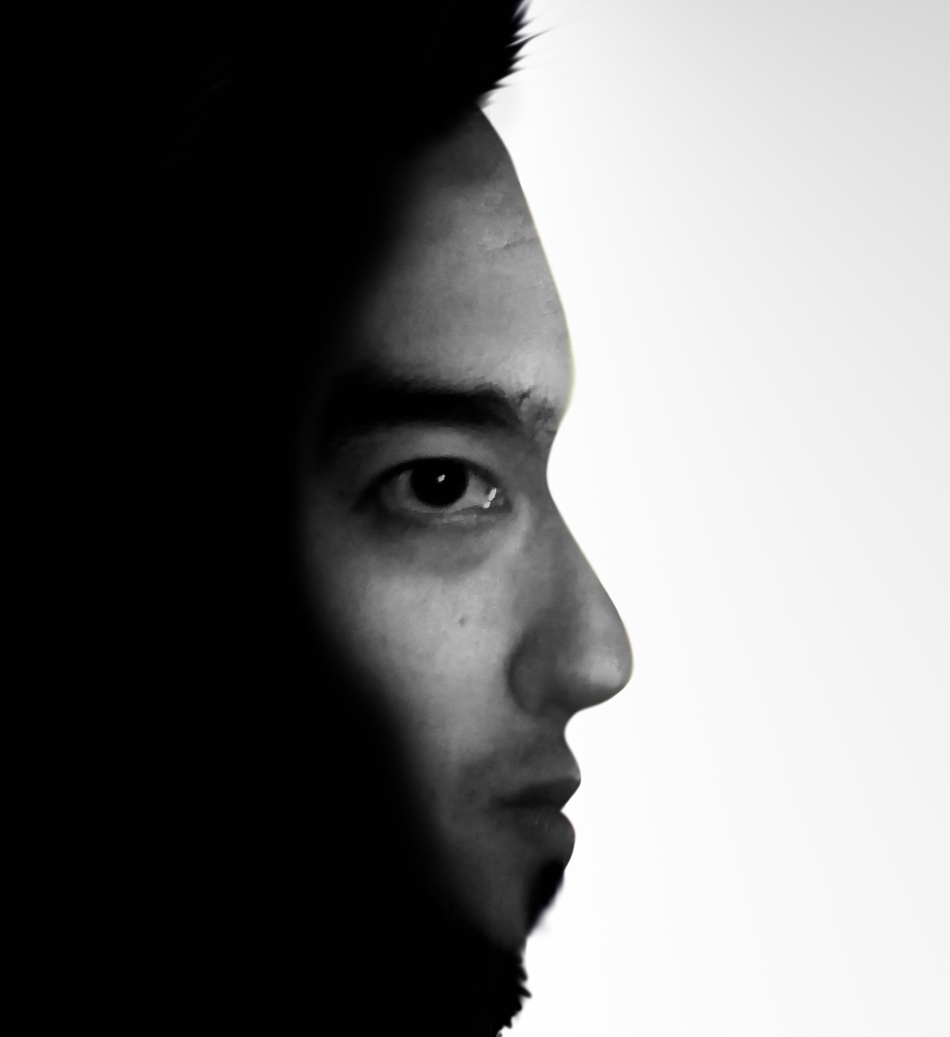 Vectorious's profile picture