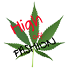 High Off Fashion