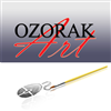 Ozorak Art