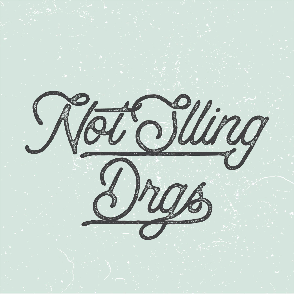 notsllingdrgs's profile picture