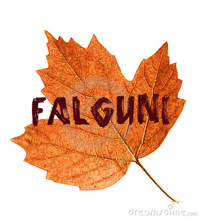 Falguni's profile picture