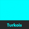 Turkois.'s profile picture