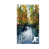 J R