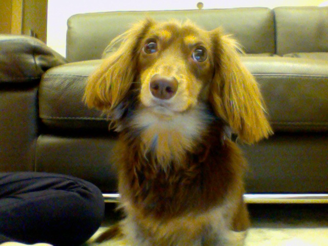 Keke's profile picture