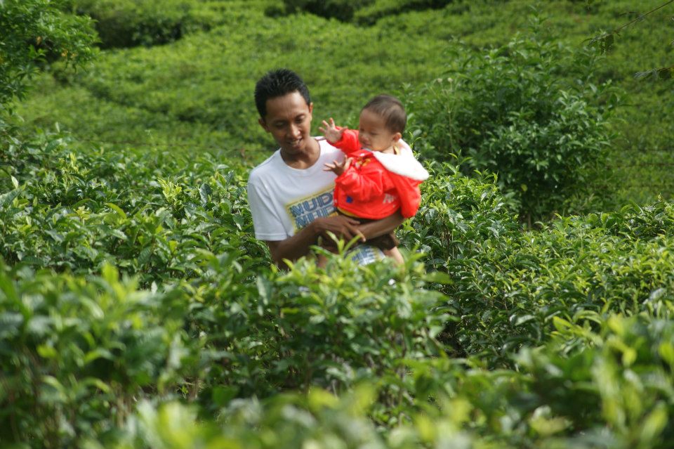 eko sugali's profile picture