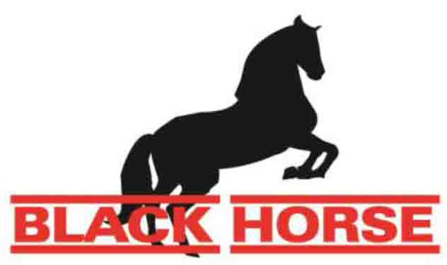 Ahmed Shalapy's profile picture