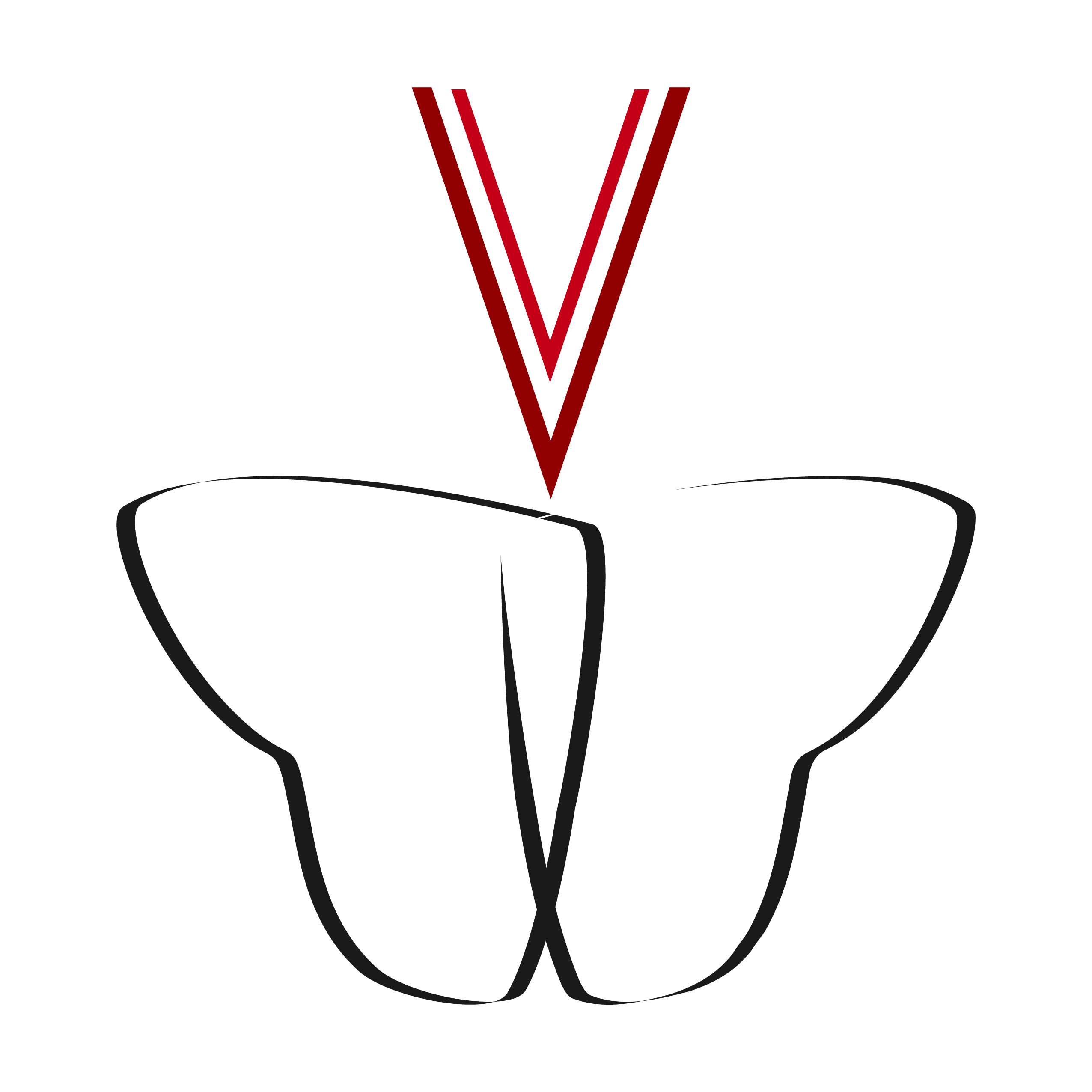 Vanie's profile picture