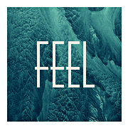 Feel's profile picture