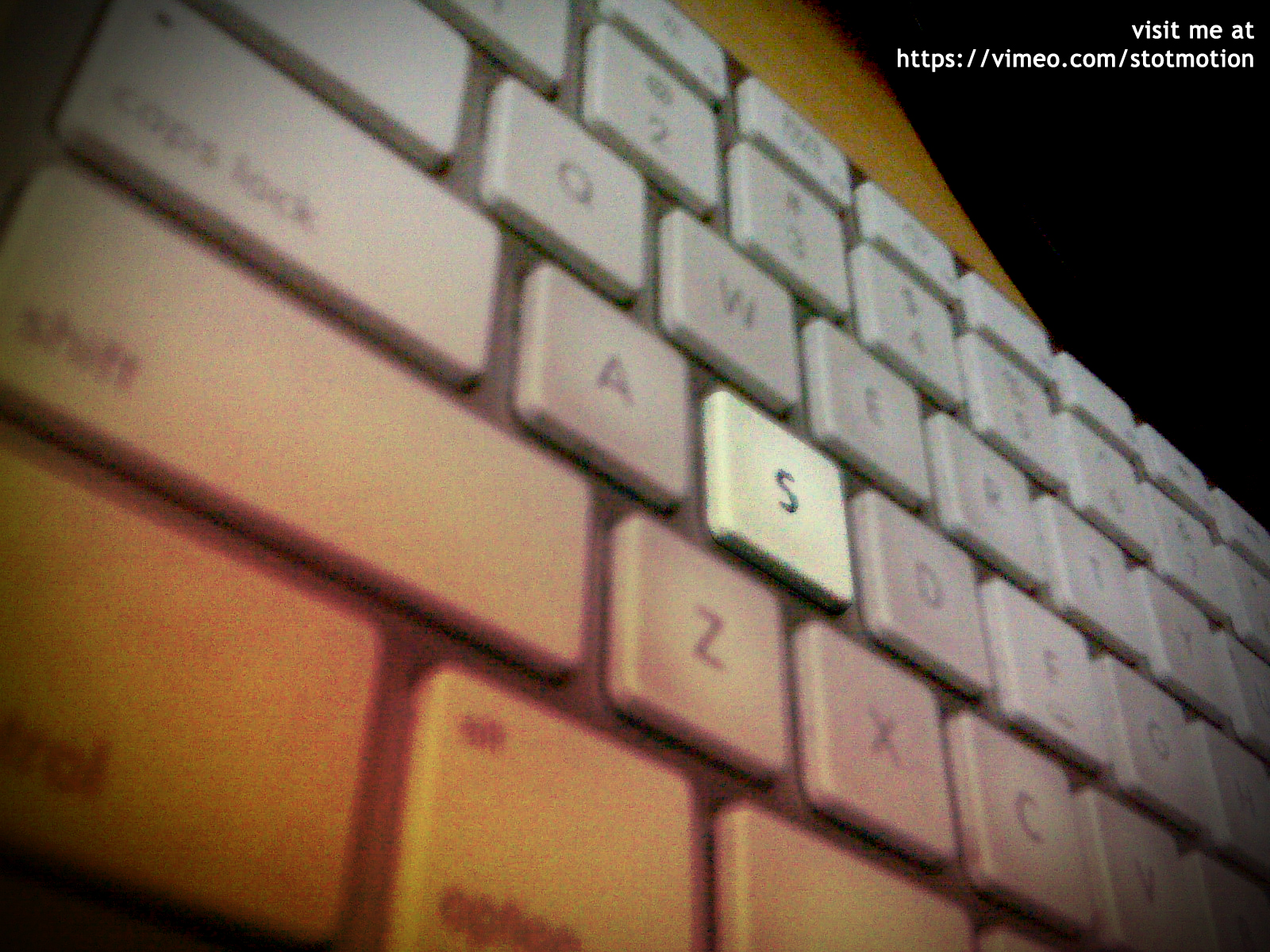 stotmotion's profile picture